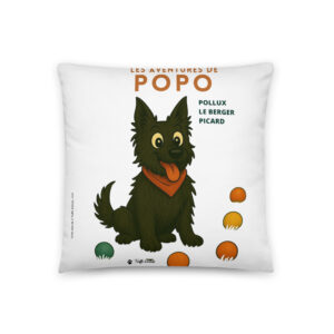 Coussin Classique Les aventures de Popo