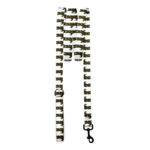 Laisse pour animal de compagnie Popo INT