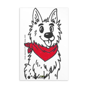 Carte postale standard